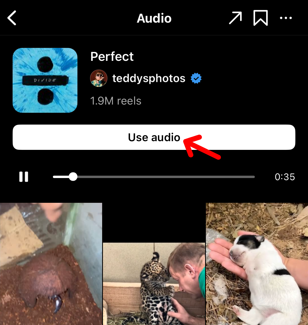 How to save music on Instagram
